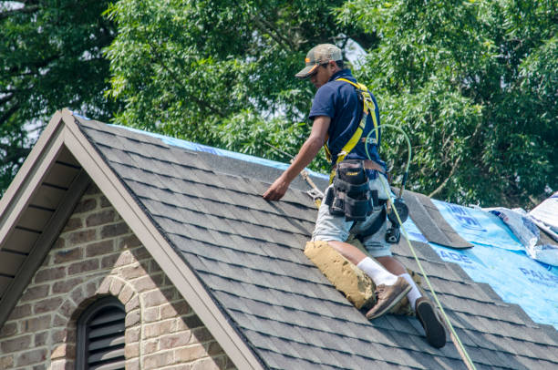 Best Gutter Installation and Roofing  in Braddock, PA